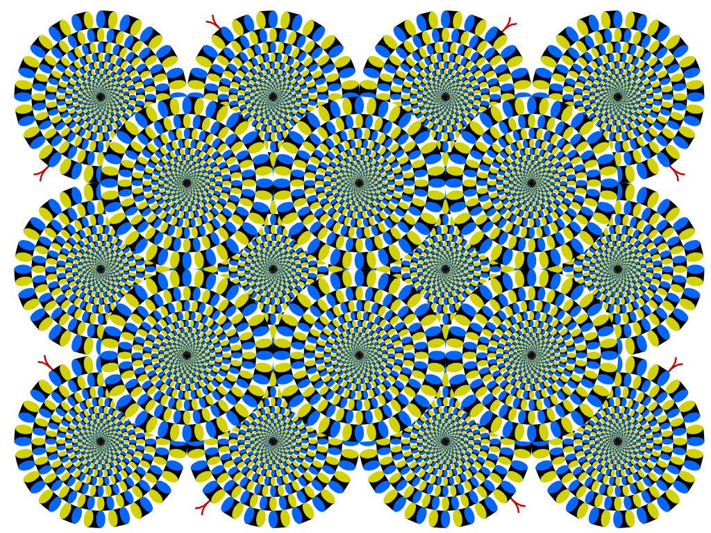 b0002156_10282255.gif