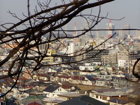 c0070069_351714.jpg