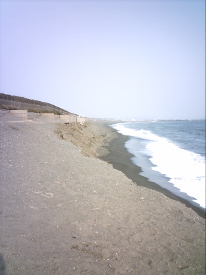 c0038170_21282023.jpg