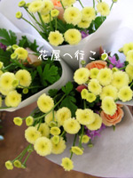 c0051385_331798.jpg