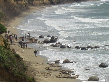 b0051109_1065336.jpg