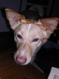 c0065643_2158387.jpg