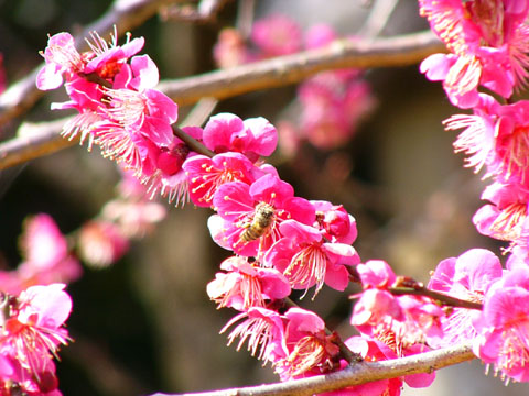 a0024250_23294245.jpg