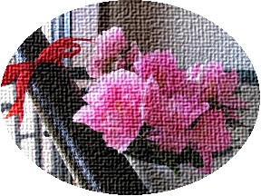 c0020059_1217455.jpg