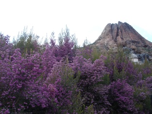 b0036172_23524313.jpg