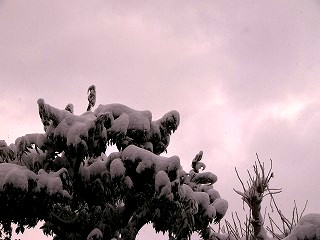 b0000977_19193397.jpg