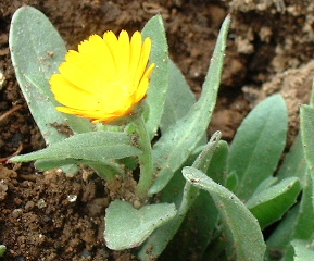 c0073186_17343511.jpg