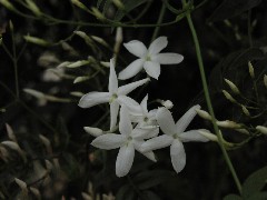 b0021101_20345829.jpg