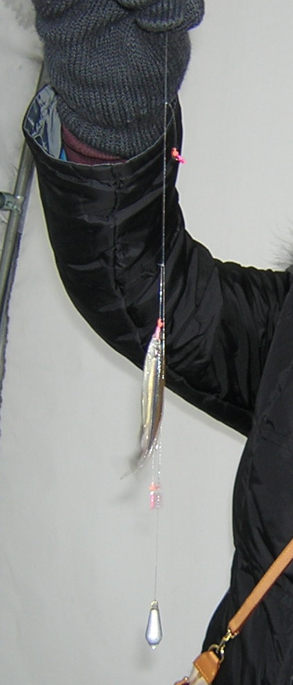 b0053414_17191690.jpg