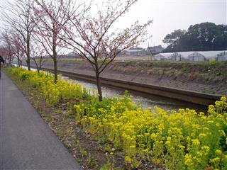 c0039428_17572290.jpg