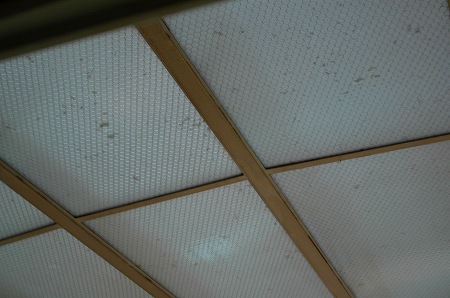 a0012542_21181187.jpg