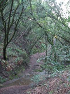c0033158_17525195.jpg