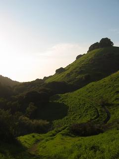 c0033158_17525992.jpg