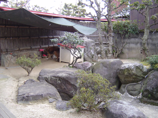 c0003596_20142726.jpg