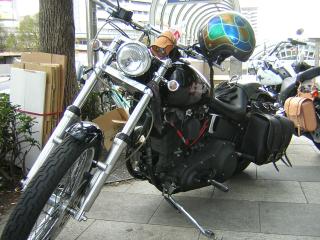 b0013897_1583553.jpg