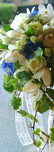 c0011009_1352478.jpg