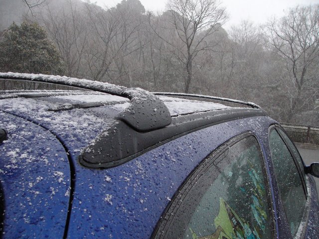 c0062511_20271613.jpg