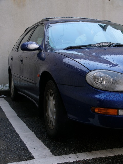 c0062511_2028521.jpg