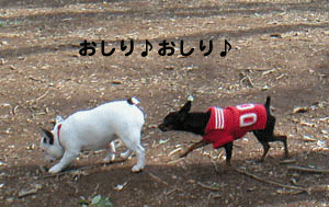 c0012571_1311151.gif