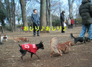 c0012571_13112459.gif