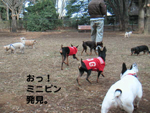 c0012571_1311448.gif