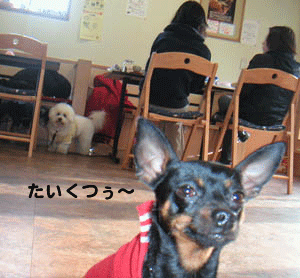 c0012571_13123125.gif