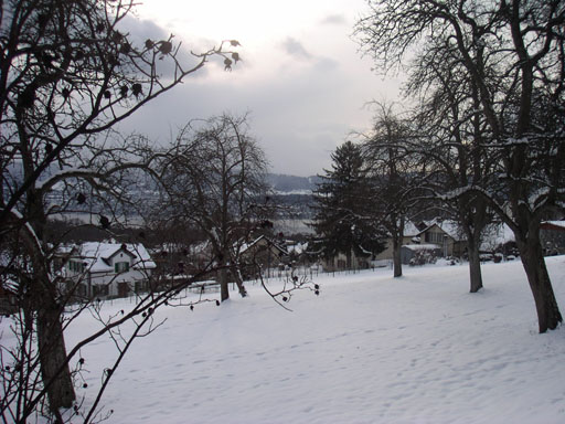 b0038588_2353447.jpg