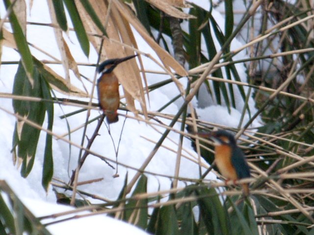 c0008502_1956234.jpg