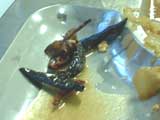 c0060603_221533.jpg