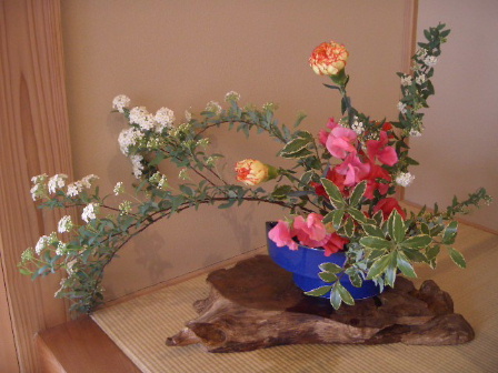 c0056707_7565890.jpg