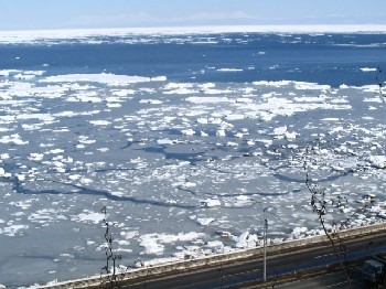 a0016775_222546.jpg