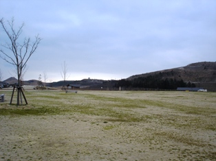 b0060587_17182916.jpg