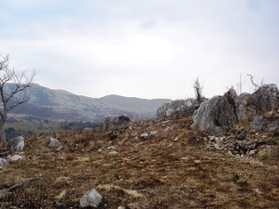 b0060587_1792380.jpg