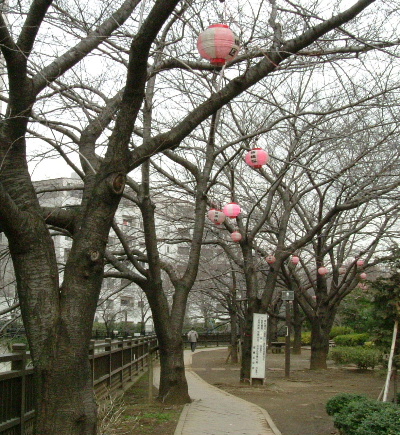 c0044199_22223740.jpg