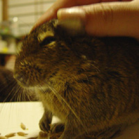 c0005835_2214494.jpg