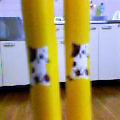 c0025840_15344017.jpg