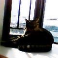 c0025840_1534481.jpg