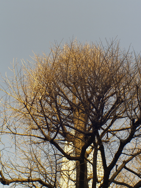 c0066245_23383364.jpg
