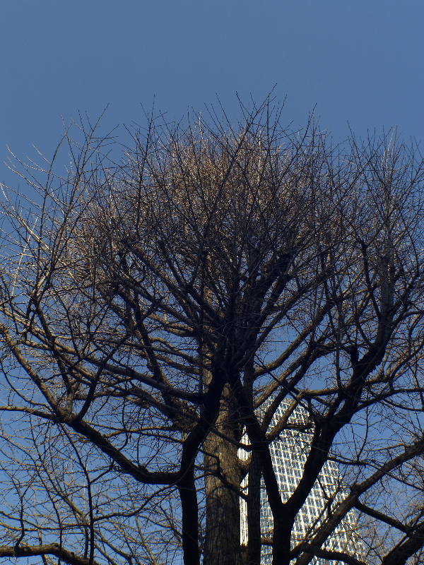 c0066245_2344357.jpg
