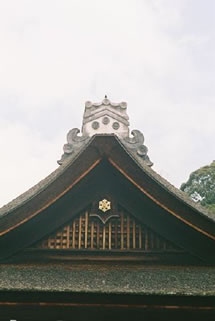 d0004296_1171338.jpg