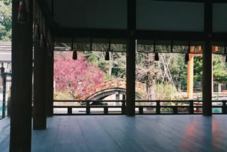 d0004296_135519.jpg