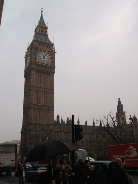 b0030011_482765.jpg