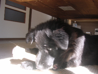 c0065643_2022084.jpg