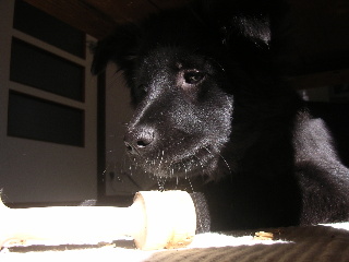 c0065643_2053179.jpg
