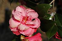 b0002549_15212136.jpg