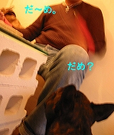 c0015354_861015.jpg
