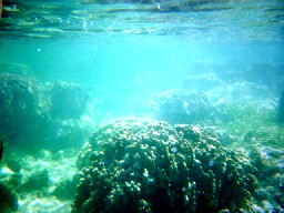 b0070572_05887.jpg
