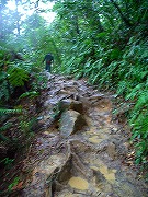 a0003089_203777.jpg