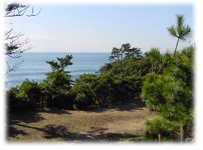 c0008598_2233512.jpg