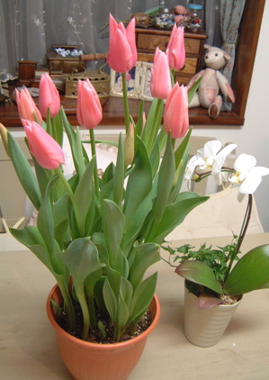 a0011999_2120521.jpg